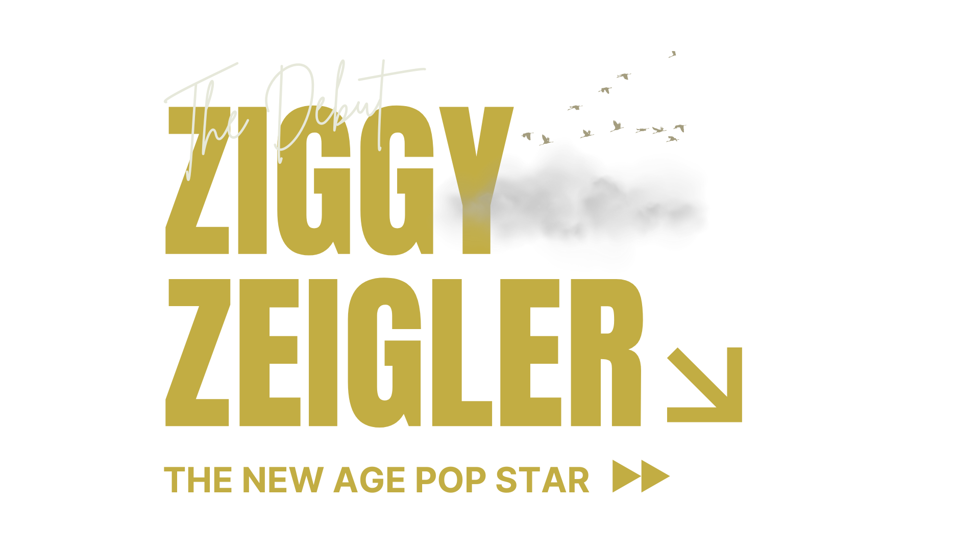 ABOUT — Ziggy Zeigler